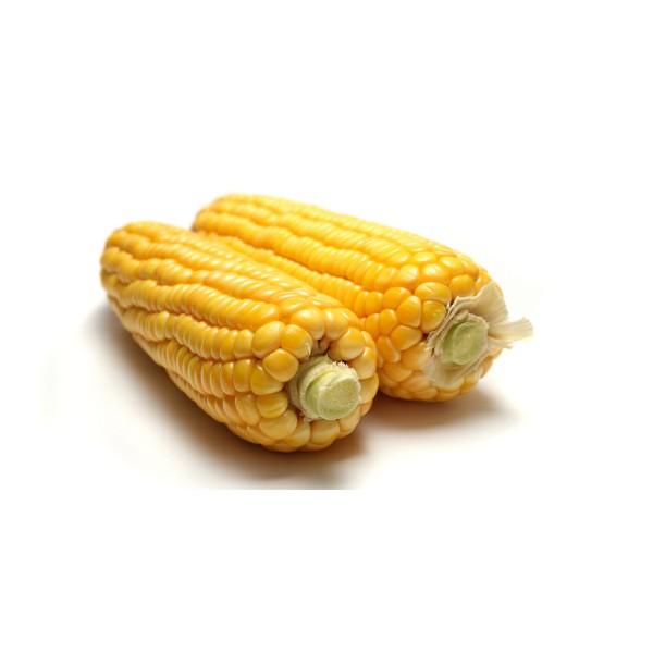 

Jagung Manis Segar Kupas [ 1000gr ]