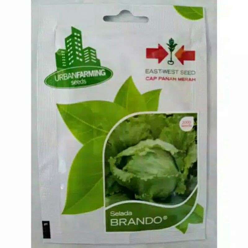 Benih Selada Brando isi 2000 biji cap Panah Mas®