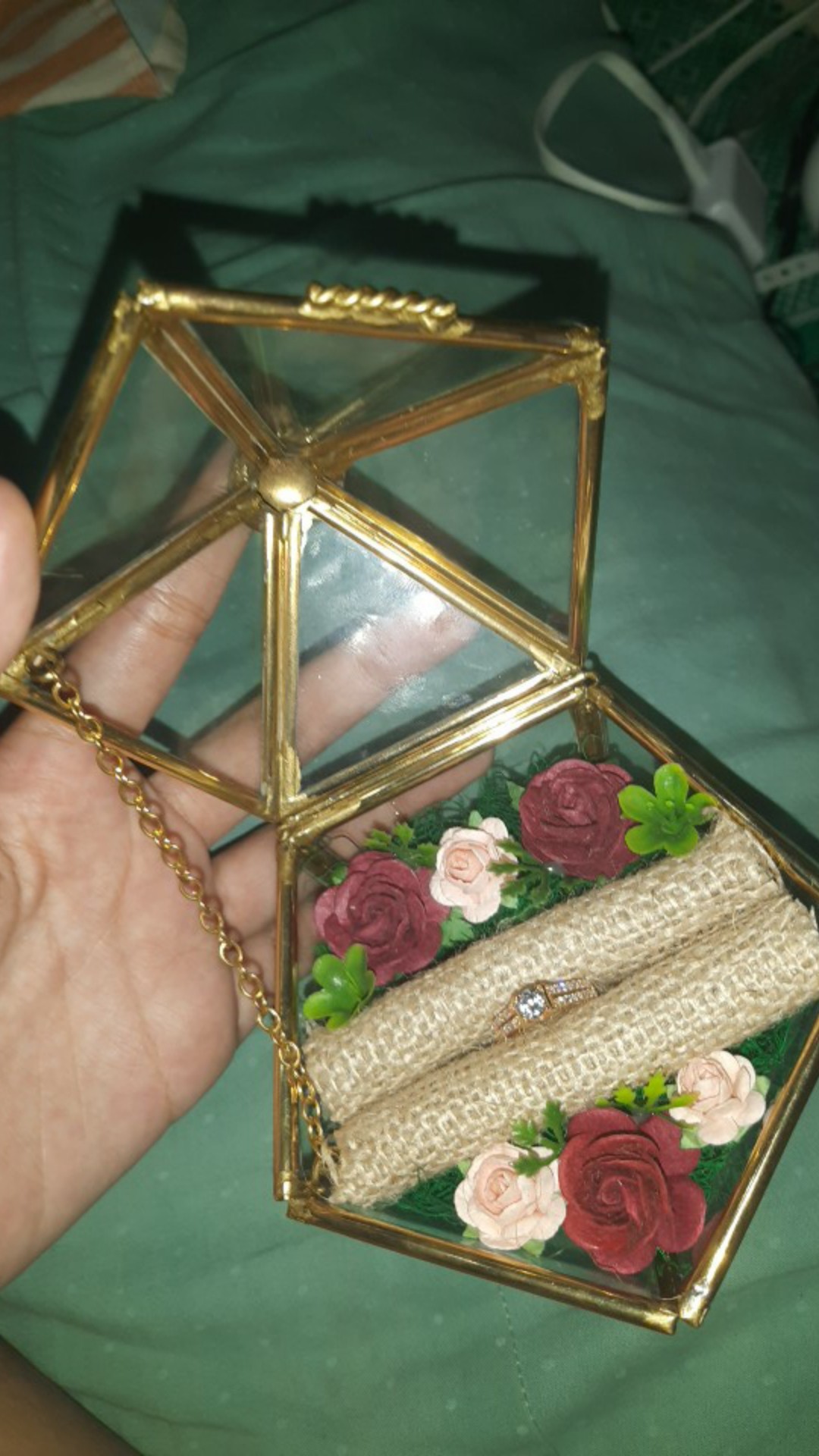 Ringbox Terrrarium Only Mini