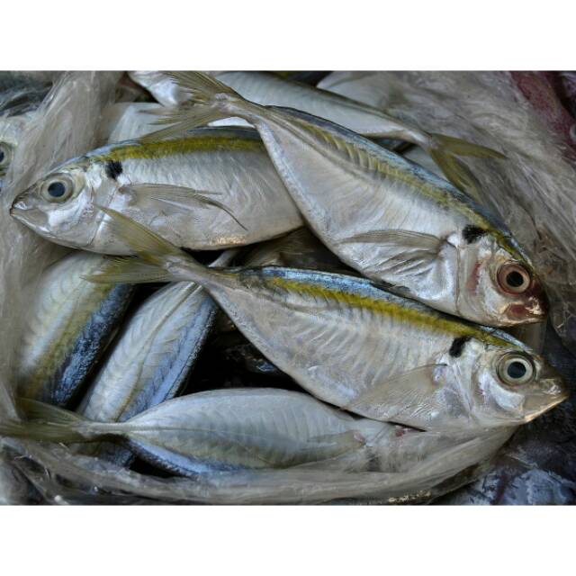 

Ikan Selar (Kecil) 250gram