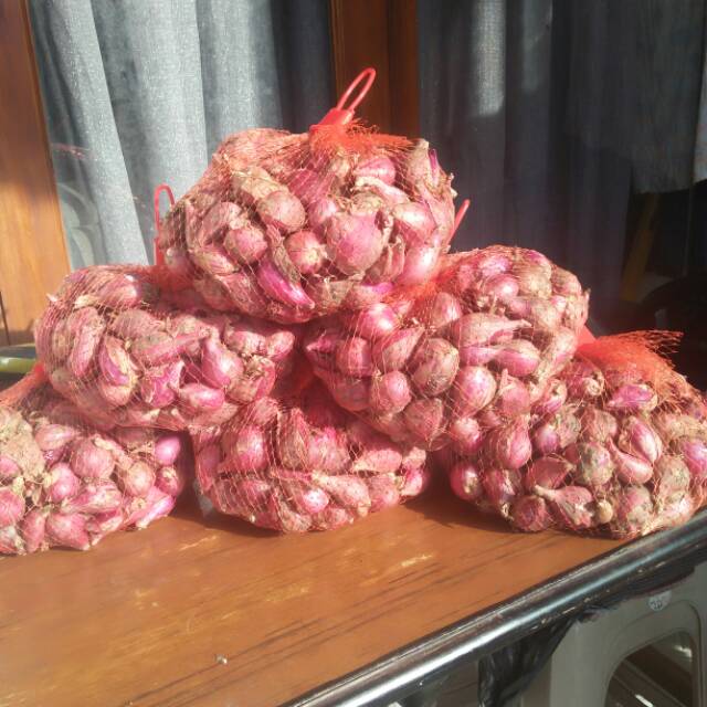 

Bawang merah ukuran besar
