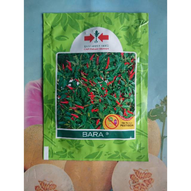 benih cabe rawit hijau bara isi 3200 biji