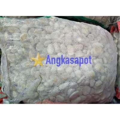 KHUSUS GOSEND Batu Taman Koral Coral Putih KARUNG BESAR