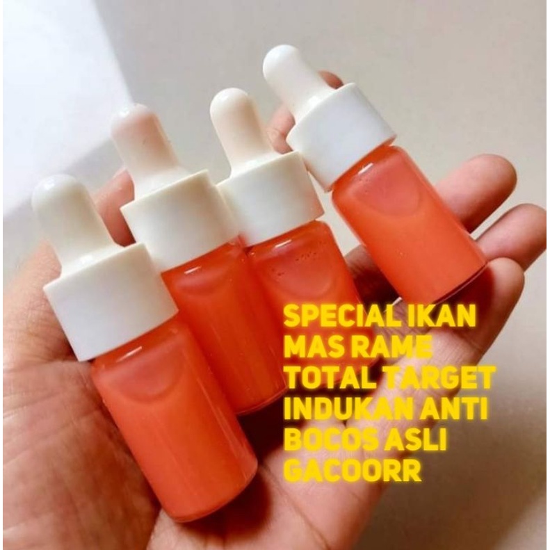 essen oplosan jagung blewah special ikan mas top gacor