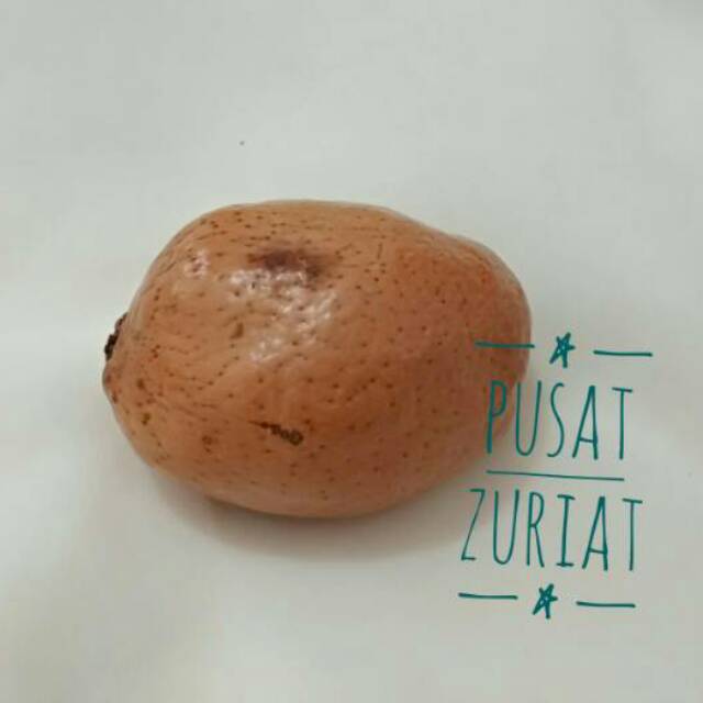 

Zuriat satuan singel doum buat promil asli Mesir