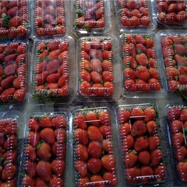 

Strawberry Fresh grade B1
