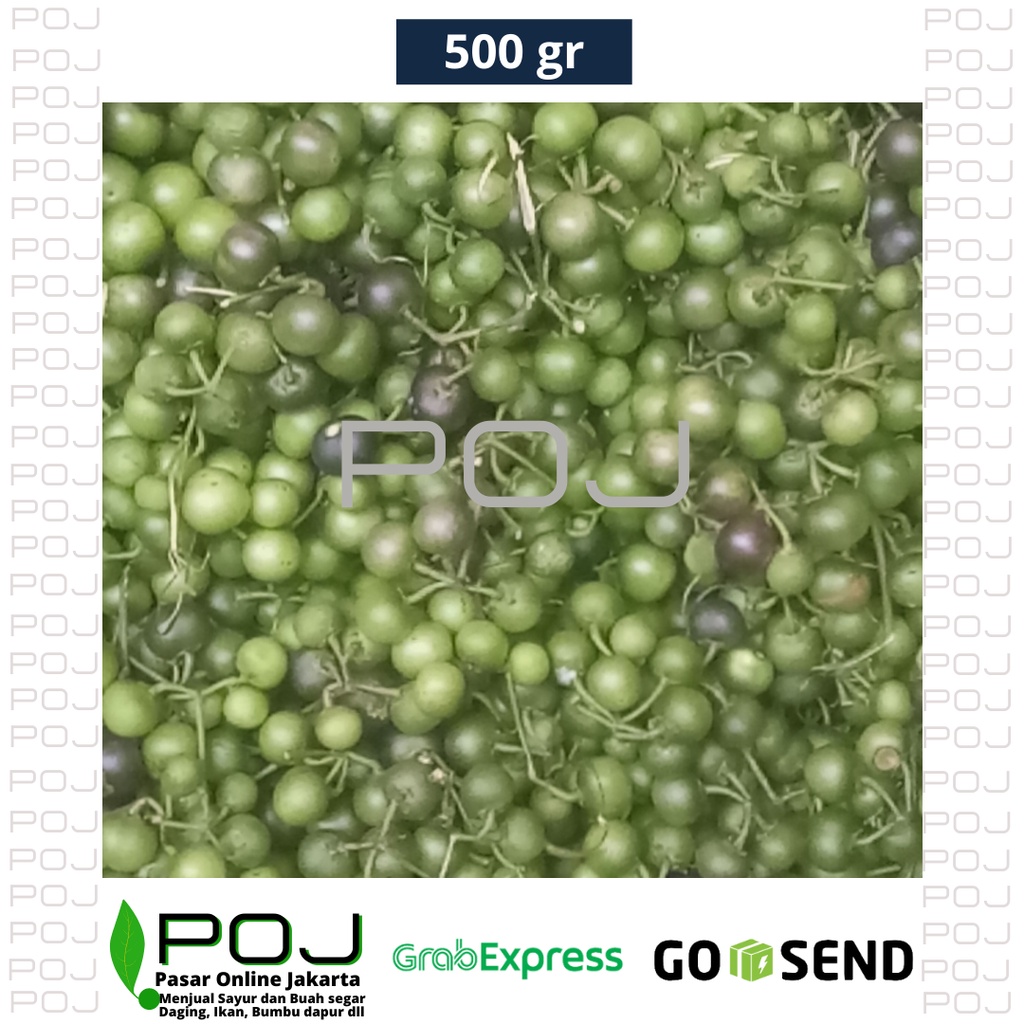 

Leunca Segar 500 gr ✓Buah Leunca Segar✓Ranti✓Bobosa✓Leunca Hijau✓Sayur Leunca✓POJ