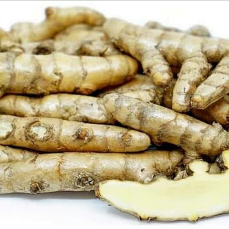 

TEMU PUTIH SEGAR 1KG/CURCUMA ZEDOARIA/KUNYIT KUNIR PUTIH