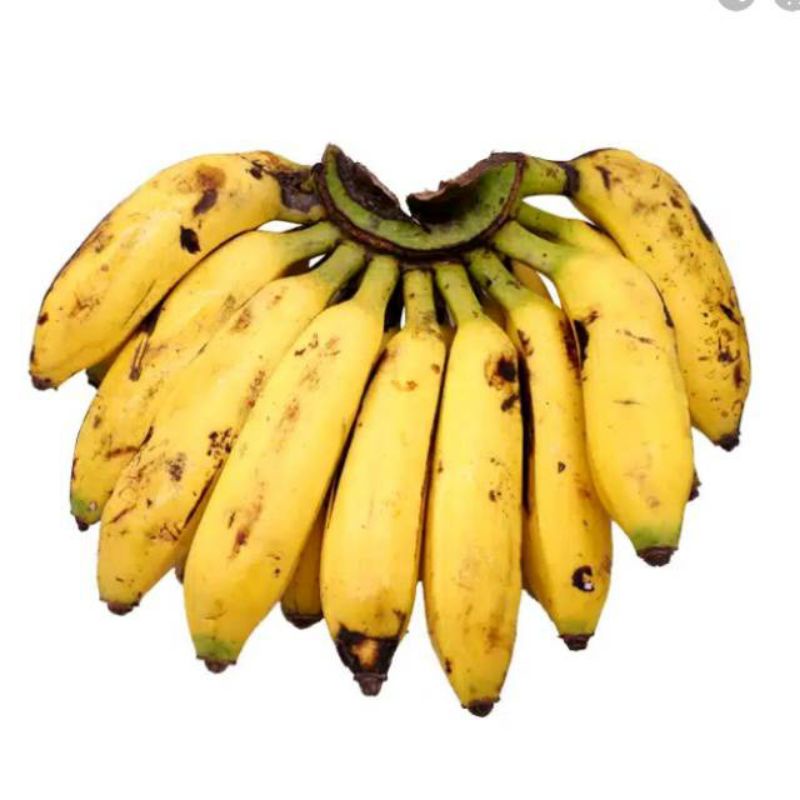 

Pasar Online Segar Murah - Pisang Uli matang 1 sisir besar