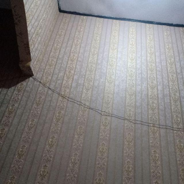 Extra Bubble Wrap Atau Dus/box Packing