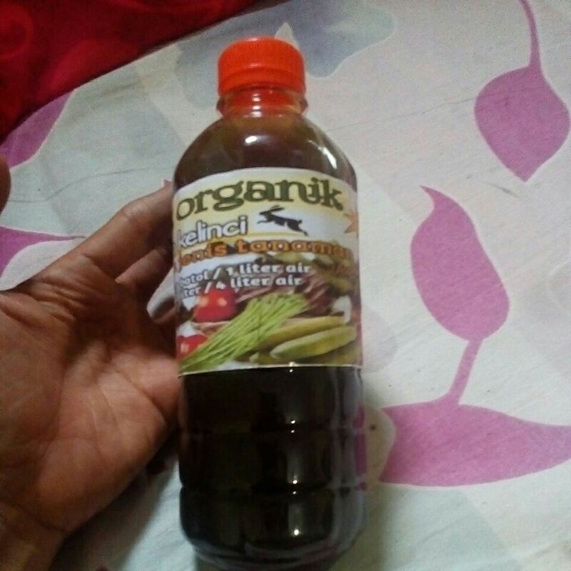 pupuk cair urin kelinci