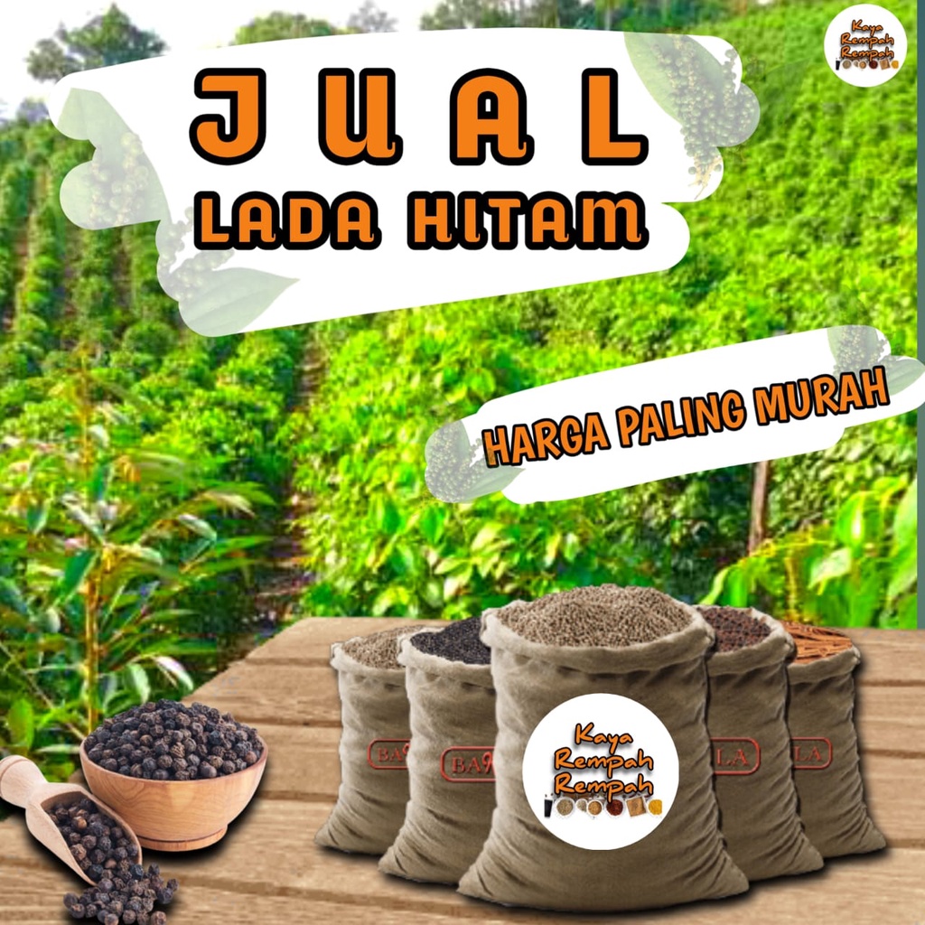 

LADA HITAM ASLI ISI 500 GRAM KUALITAS PREMIUM BUMBU DAPUR ASLI LAMPUNG