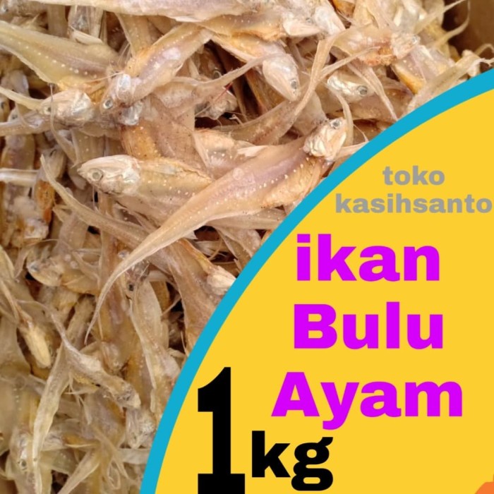 

ikan asin bulu ayam-1kg