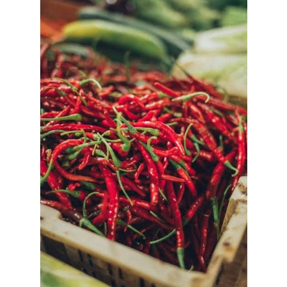 

cabe merah freah 1kg free daun jeruk