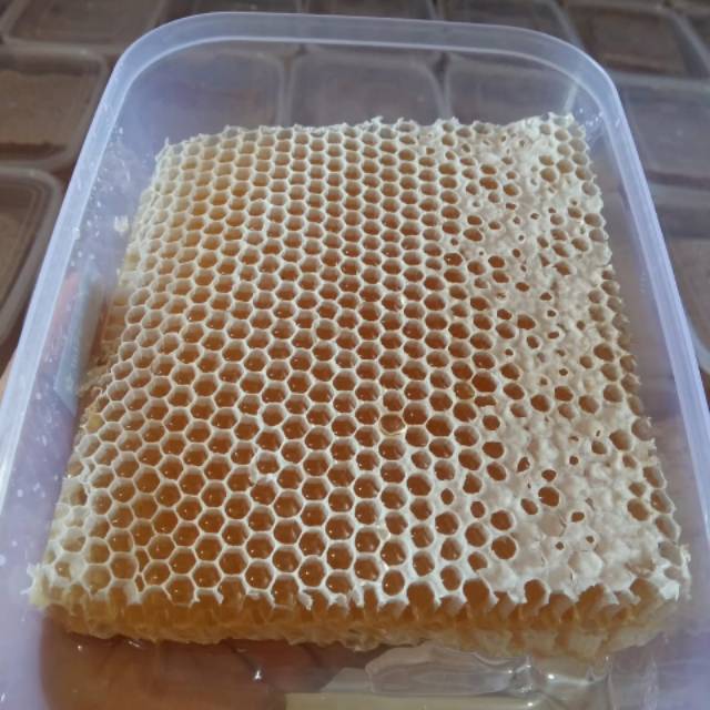 

Madu sarang