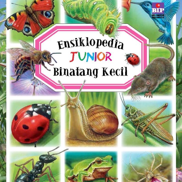 Ensiklopedia Junior Binatang Kecil
