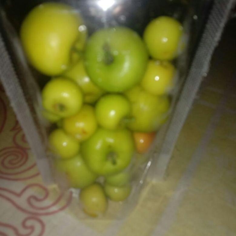 

[KODE 0Z9J8] buah bidara arab asli fresh langsung di petik isi 35 buah