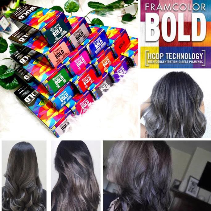 framesi color bold titanium / dark silver / cat rambut