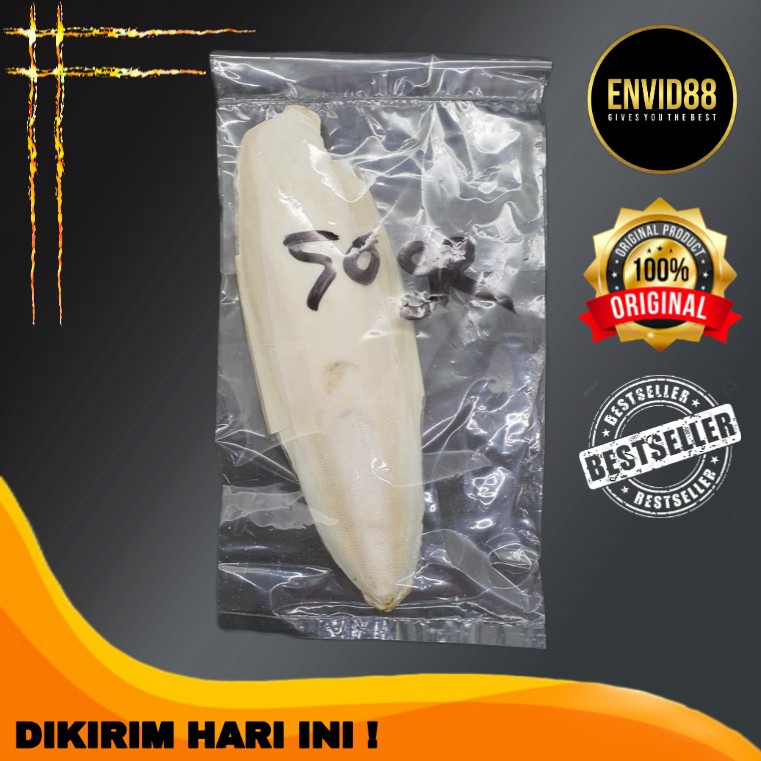 

Tulang Sotong Kering Envid88