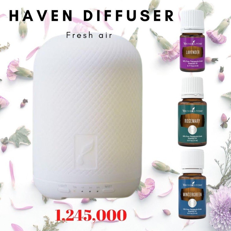HAVEN DIFFUSER fresh air  package 3 young living essential oil yl yle ylo