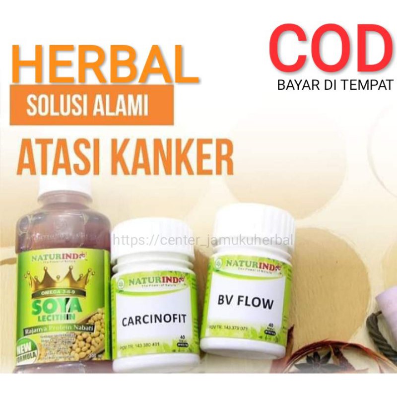 COD RESEP PAKET HERBAL SOLUSI KANKER DAN TUMOR.PAKET HERBAL NATURINDO FRESH