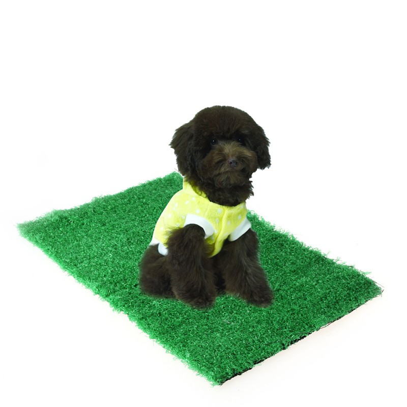 Toto ღ Pet Cat Puppy Dog Training Indoor Potty Synthetic Grass