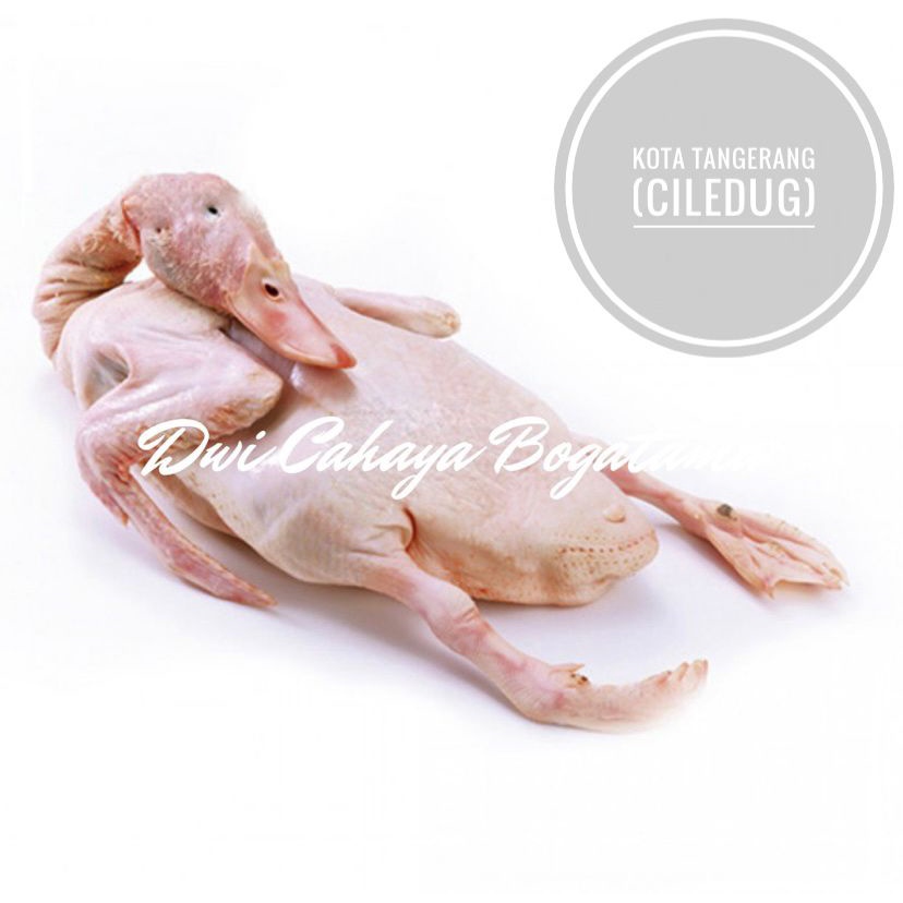 

Bebek peking bersih 1,1 kg