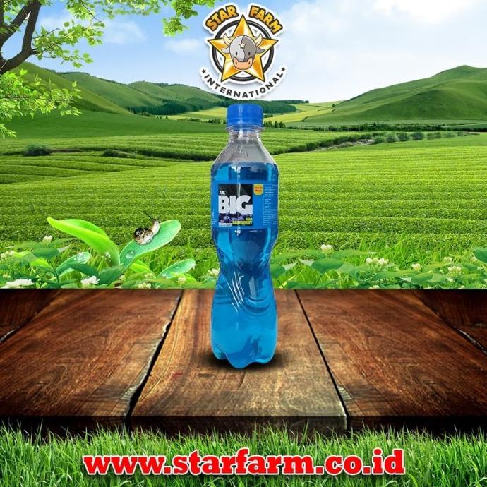 

Silahkan Order] Aje Big Rasa Blueberry 375ml - Star Farm