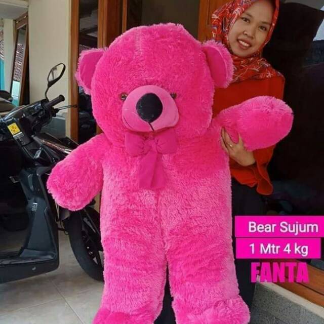 

Bear sujum