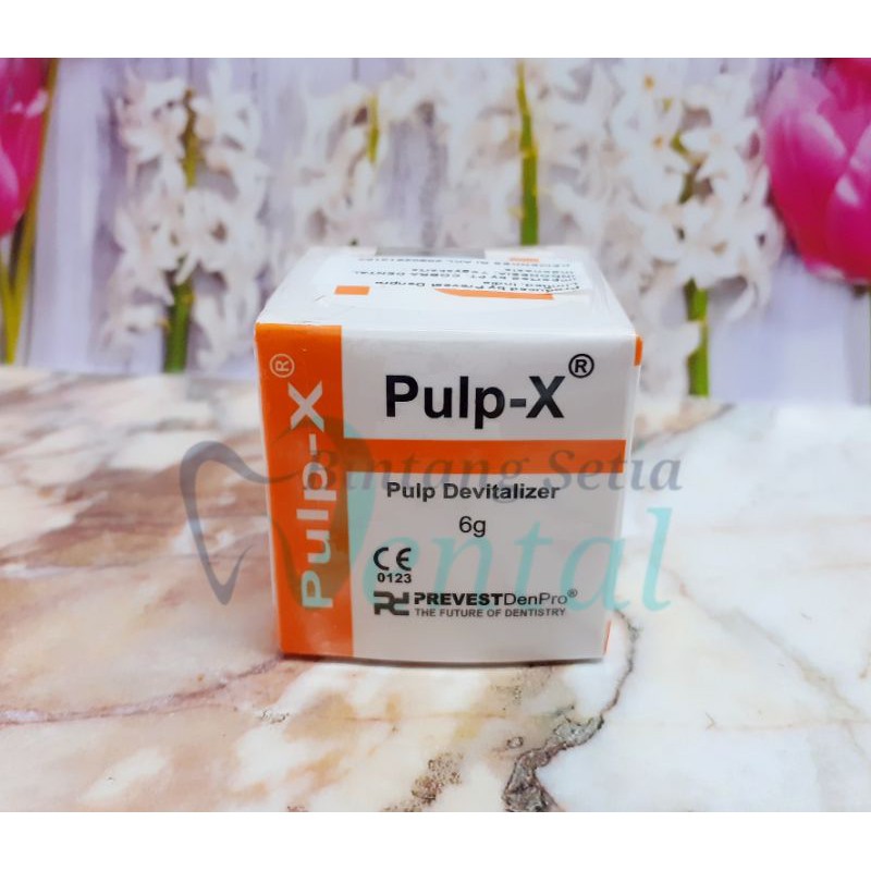 READY STOK PULP X - PREVEST DENPRO - DEVITALISASI
