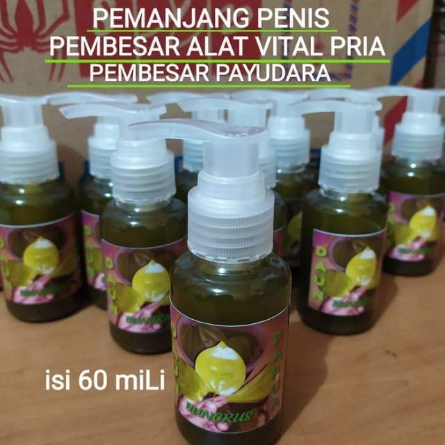 

Terpercaya Minyak Daun Bungkus Tugajari Asli