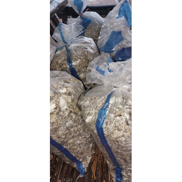 Grit Cangkang Kulit Telur Puyuh 2kg