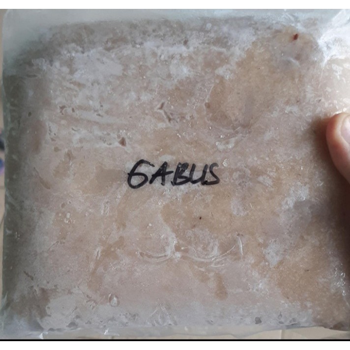 

RnD Ikan Giling Gabus Beku Area Bandung