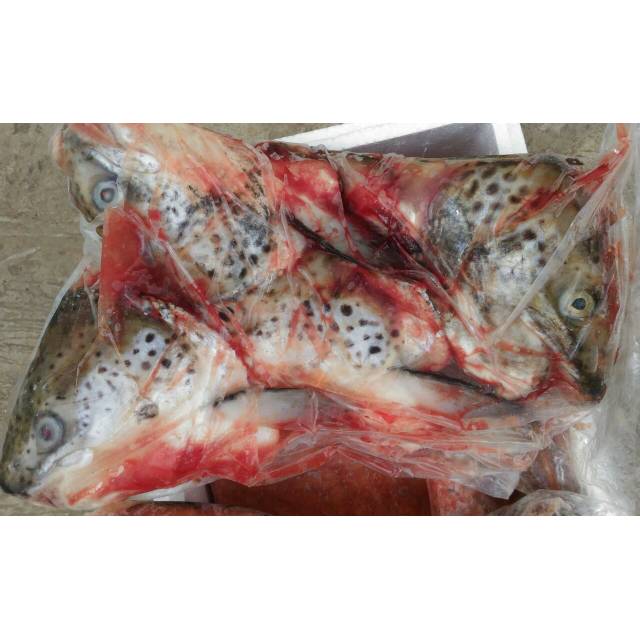 Kepala Ikan Salmon per pack 2kg
