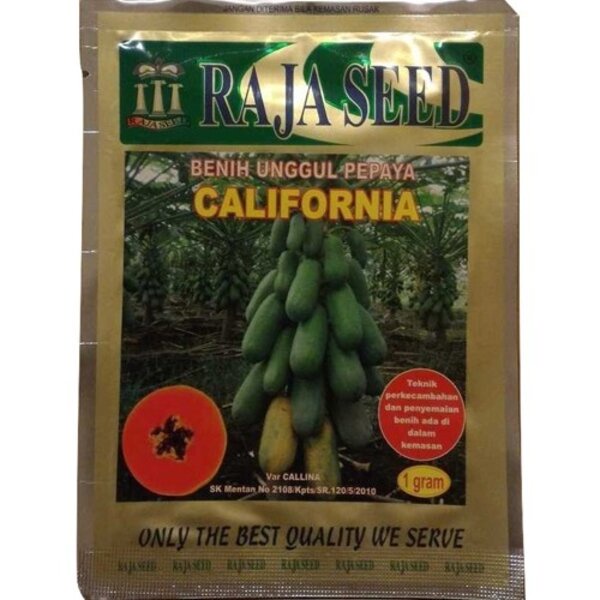 Benih Pepaya California Raja Seed 1 gr
