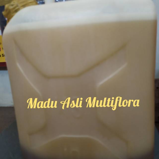 

Madu Asli Multiflora 15 Kg