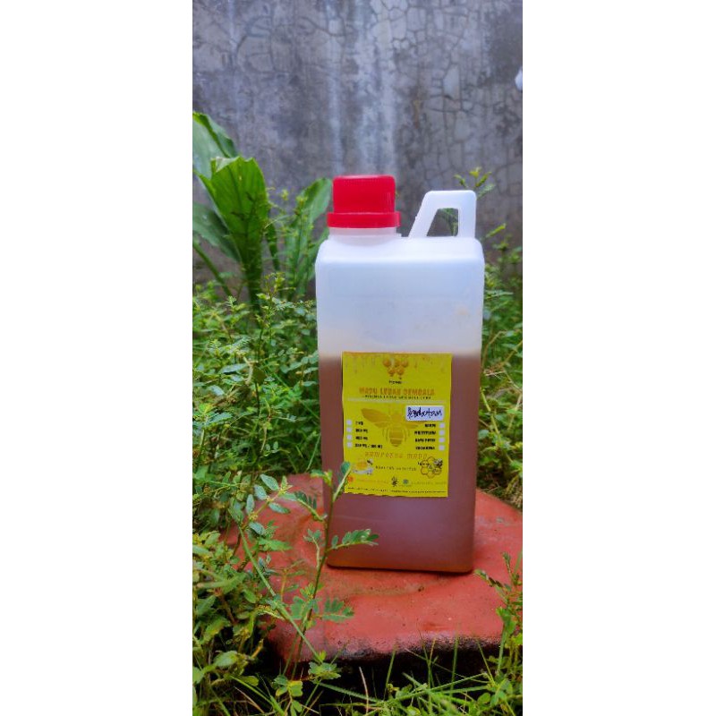

Madu rambutan murni asli hasil lebah apis mellifera