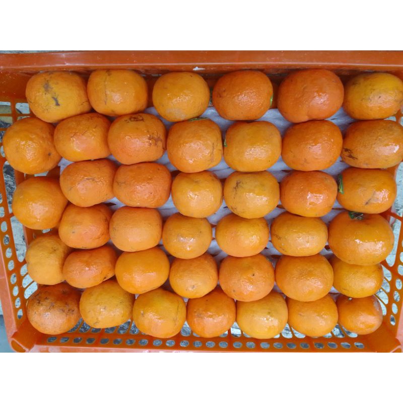 

BUAH KILOAN / BON TAMBAHAN