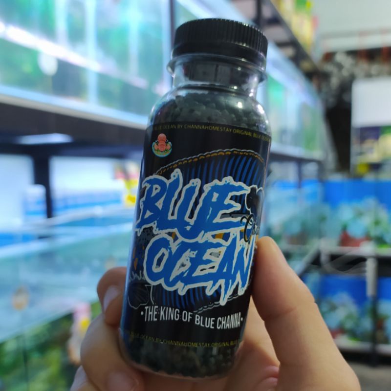 PELET BLUE OCEAN GRADE A+  50gram - Pakan Ikan Channa HomeStay Pulchra Auranti Stewarti Andrao Orna 