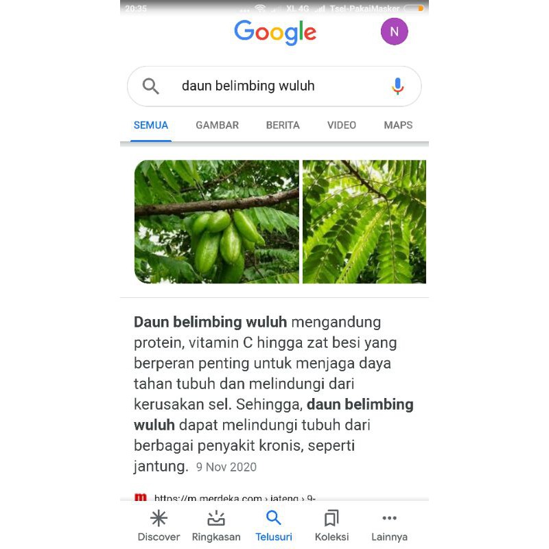 

50 tangkai daun blimbing wuluh