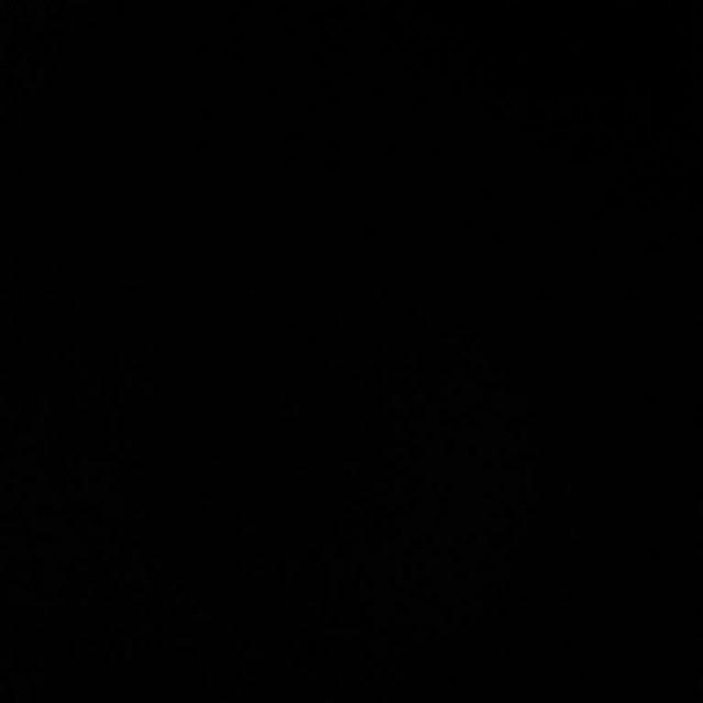 Kain Pel Dragon Besar Bagus Dan Murah