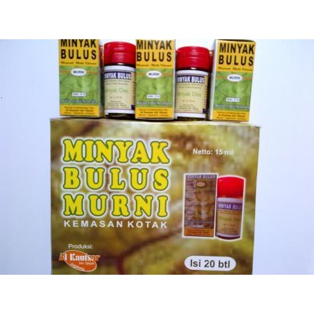 Minyak Bulus Murni Original / Minyak Oles Bulus Asli