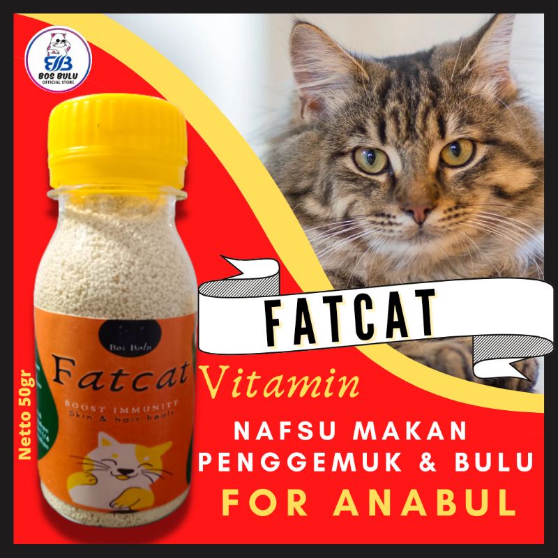 fatcat vitamin serbuk untuk nafsu makan imun tubuh kucing 50gram