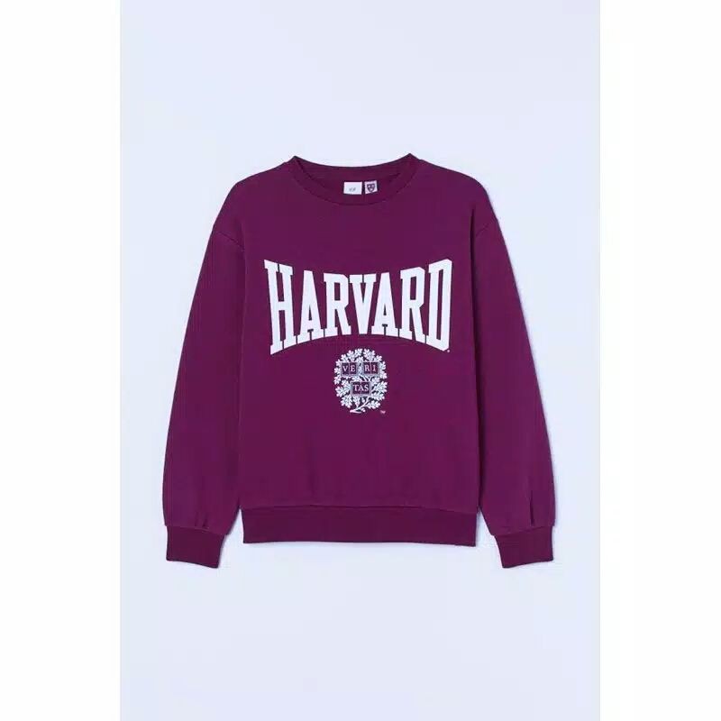 Hoodie HARVARD murah
