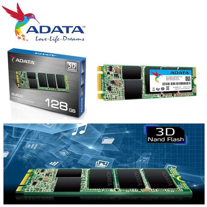 M2 Sata SSD ADATA SU800 128GB + BONUS