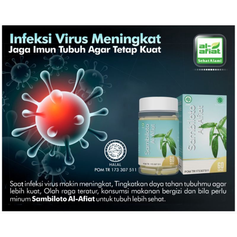 Kapsul Ekstrak Sambiloto Murni Antivirus Antibiotik