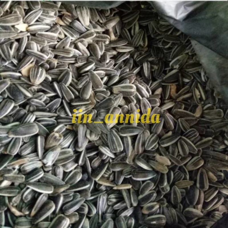

GRADE A ( 1kg ) Biji Bunga Matahari Super