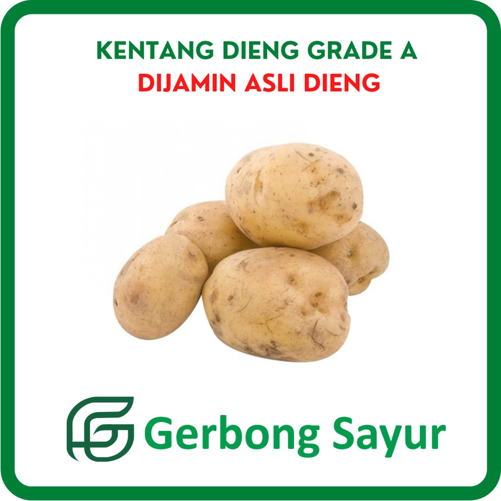 

Sayur Kentang Dieng Grade A Segar - 500g