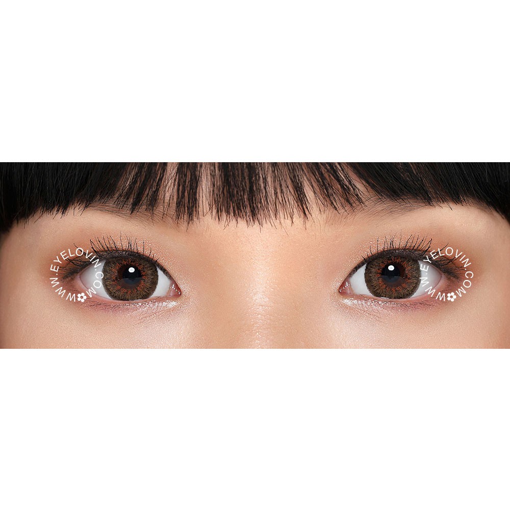 Softlens AW Beauty - French 3tones Brown