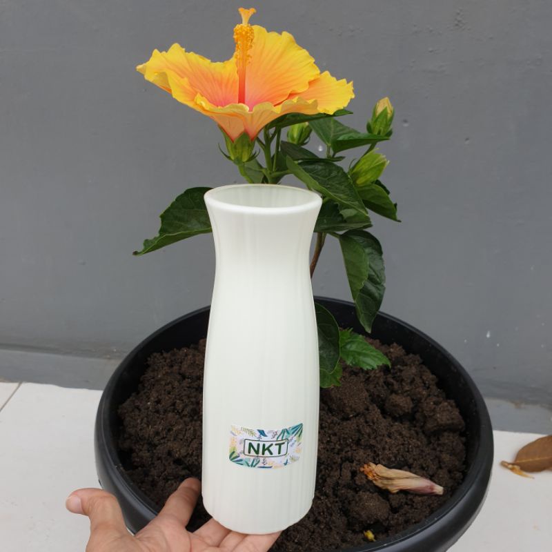 NKT VAS CINTA vas bunga plastik (tidak termasuk bunga) tidak berlubang hiasan meja bagus canti